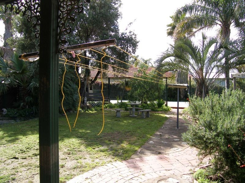 11 Clifford Avenue, Kurralta Park SA 5037