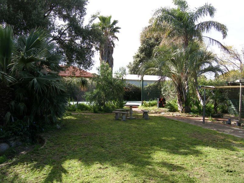 11 Clifford Avenue, Kurralta Park SA 5037