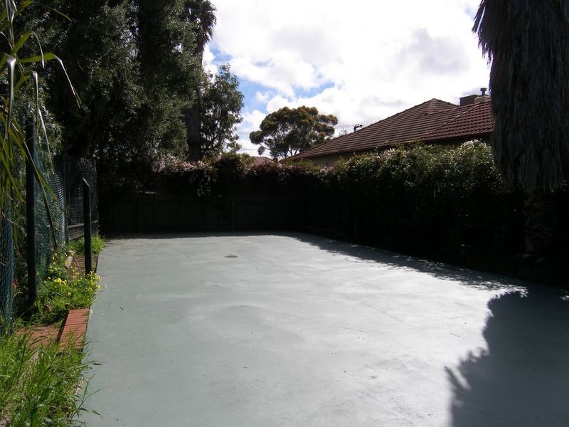 11 Clifford Avenue, Kurralta Park SA 5037