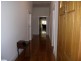 11 Clifford Avenue, Kurralta Park SA 5037