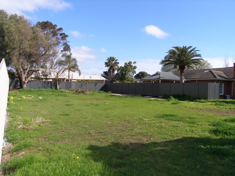 17 Quandong Street, North Brighton SA 5048