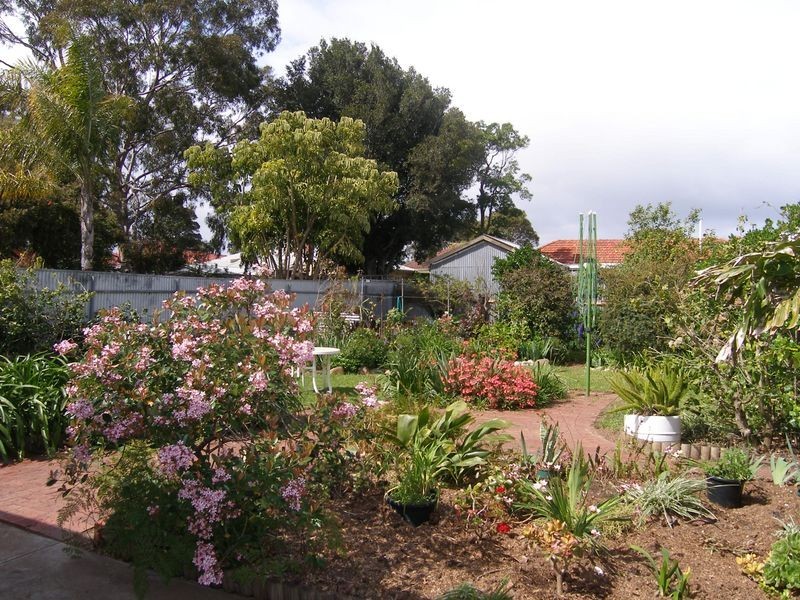 5 Lavinia Street, Hove SA 5048