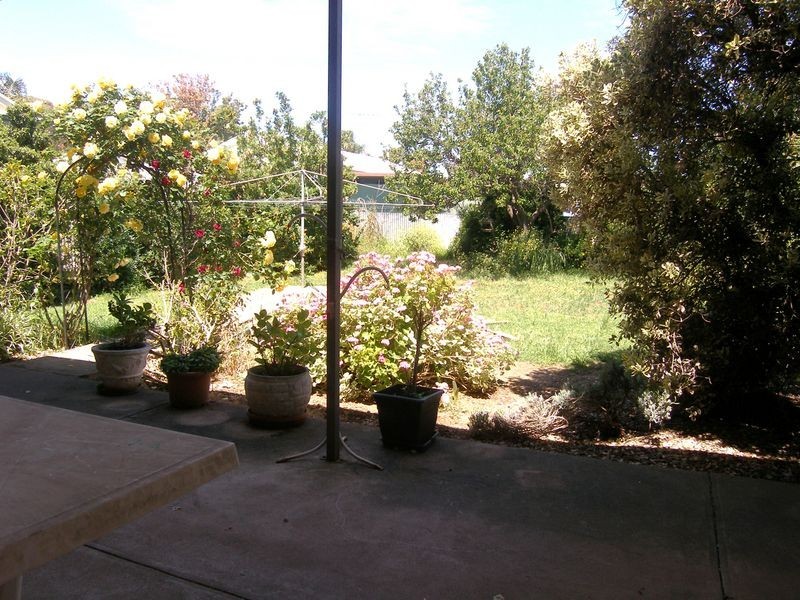 31 Clacton Road, Dover Gardens SA 5048