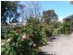 31 Clacton Road, Dover Gardens SA 5048