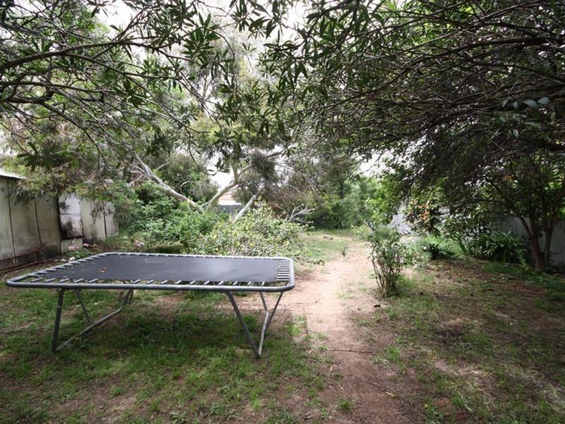 53 Wilton Avenue, Somerton Park SA 5044