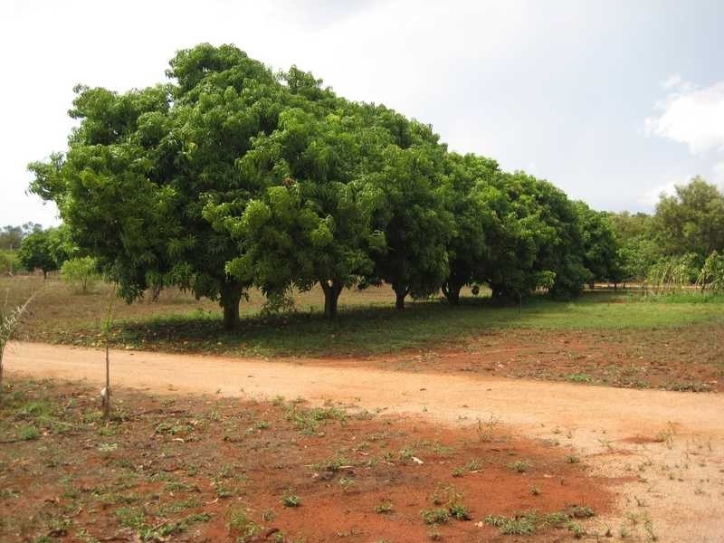 30 Yamashita Street, Broome WA 6725