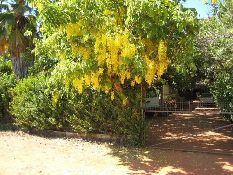 3 & 5 Macpherson Street, Broome WA 6725