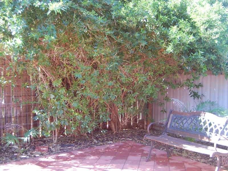 34/30 Guy Street, Broome WA 6725