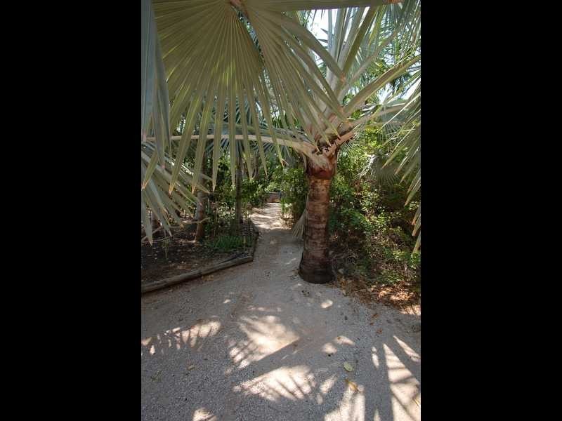 29 Herbert Street, Broome WA 6725