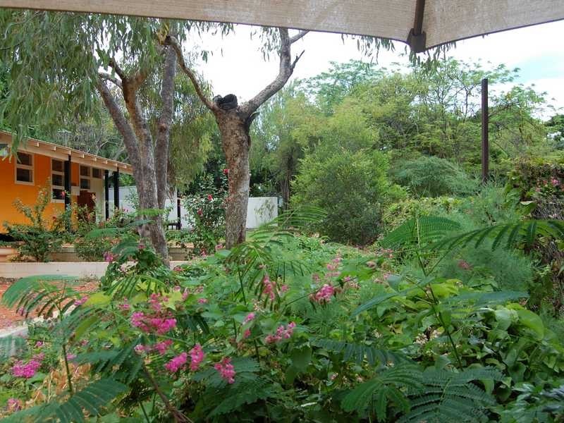 23 Anne Street, Broome WA 6725