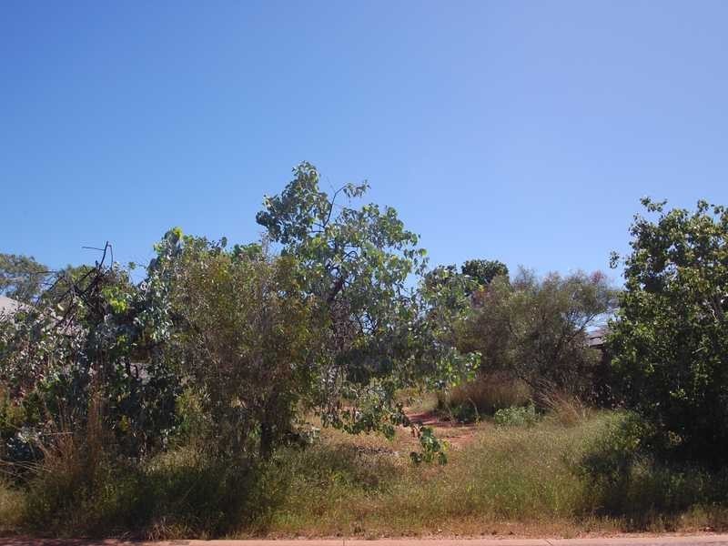 45 Durack Crescent, Broome WA 6725