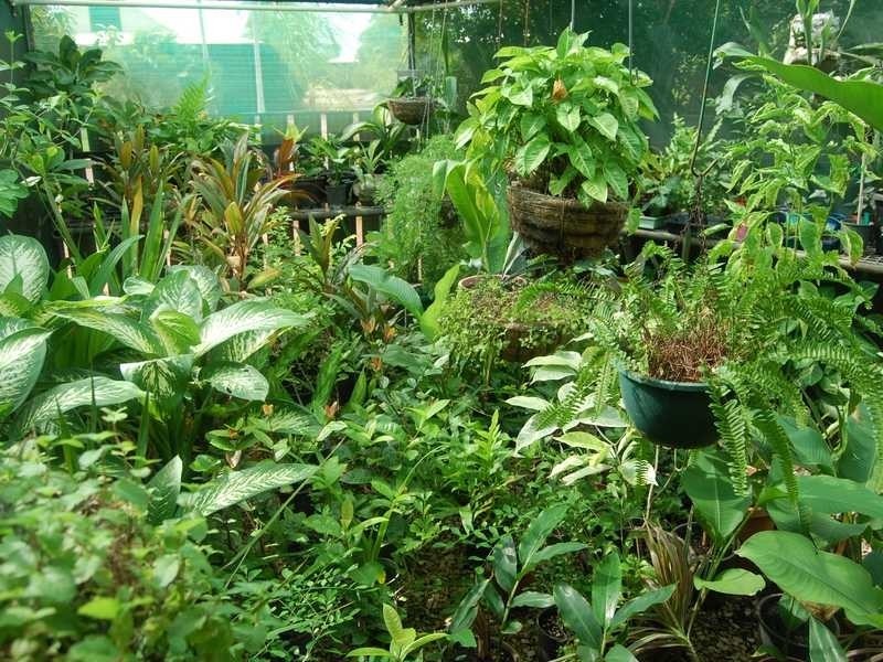 1 SLATER ROAD, Cable Beach WA 6726