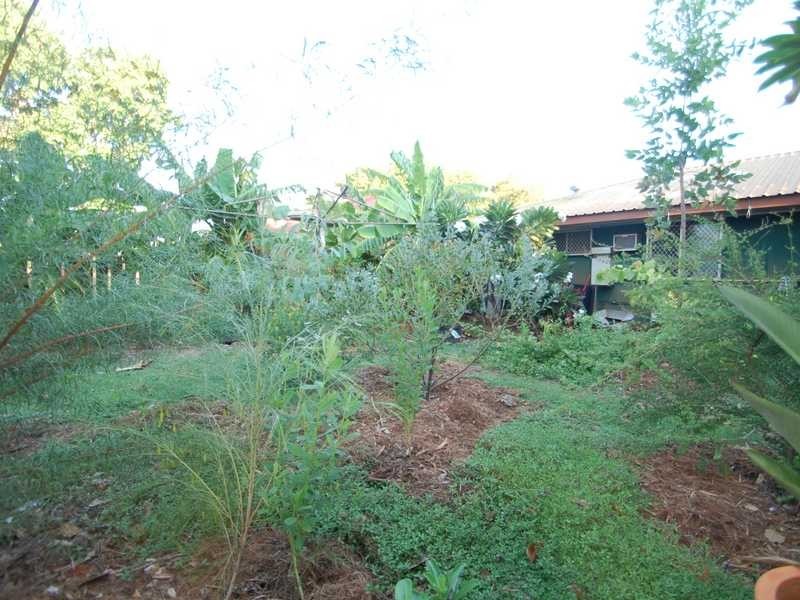 17 Placanica Place, Broome WA 6725