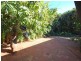 31 Taiji Road, Cable Beach WA 6726