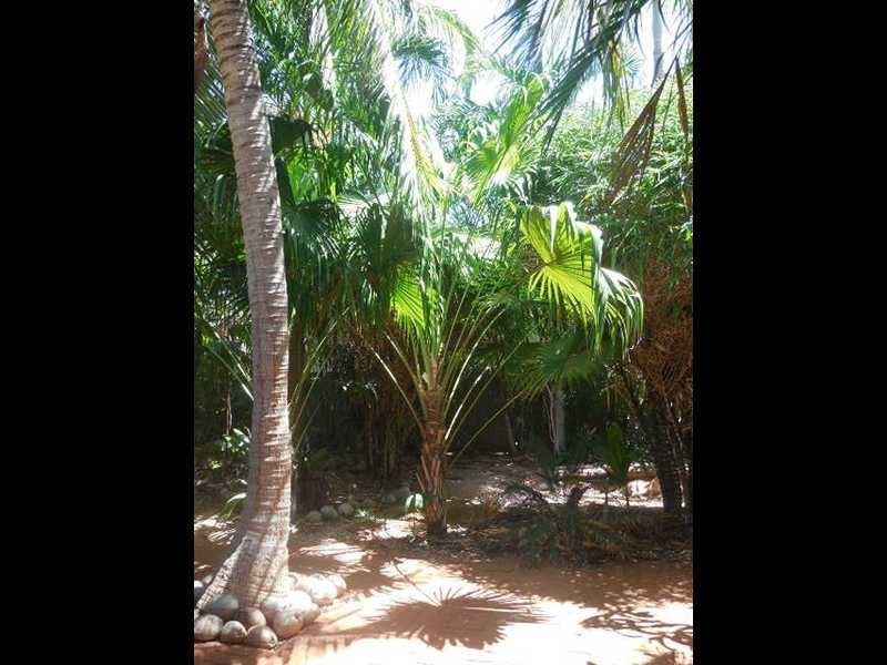 14 Miller Way, Broome WA 6725