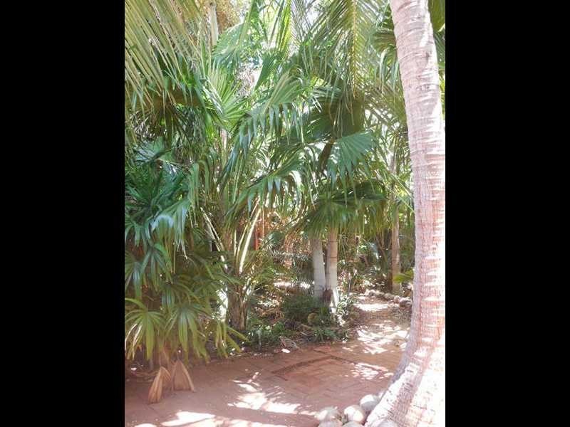 14 Miller Way, Broome WA 6725