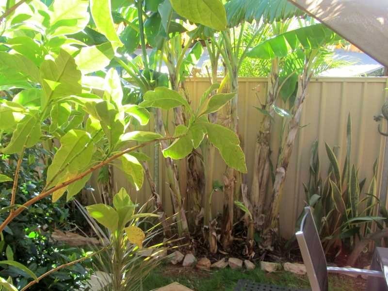 5/1 Charles Road, Cable Beach WA 6726