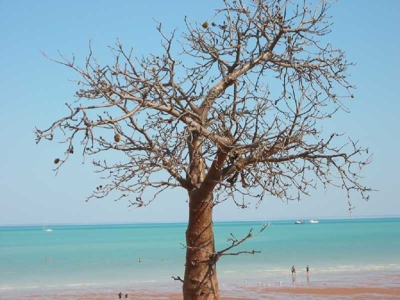 16 ROBERT STREET OLD BROOME, Broome WA 6725