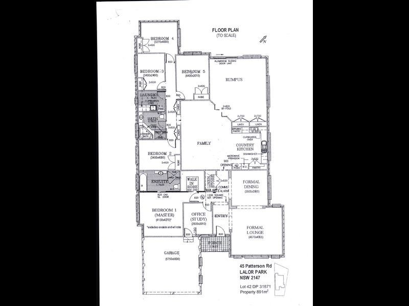 45 Patterson Road, Lalor Park NSW 2147