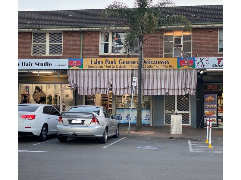 22 Freeman Street, Lalor Park NSW 2147