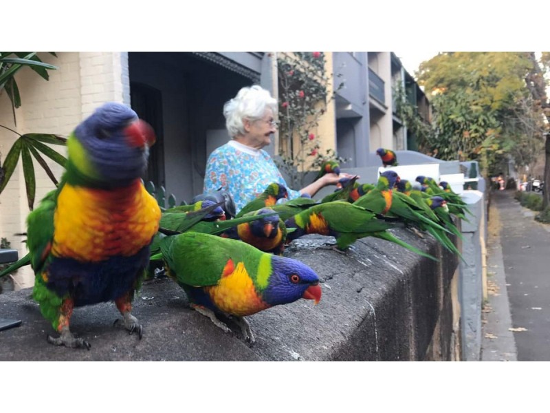 125 Pyrmont Street, Pyrmont NSW 2009