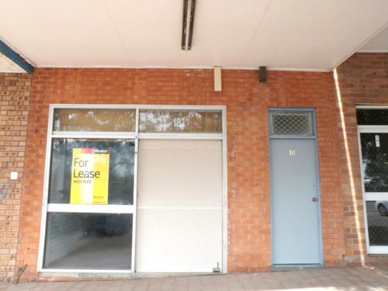 18 Hope Street, Seven Hills NSW 2147