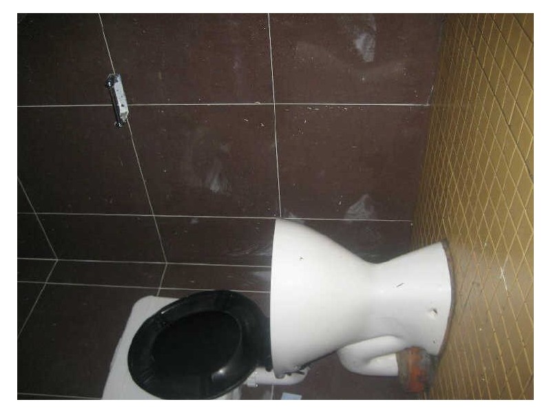 11 Orcan Place, Rooty Hill NSW 2766