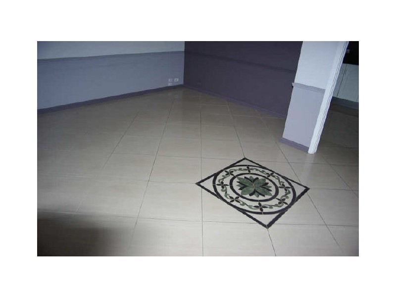 20 Jacaranda Place, Doonside NSW 2767