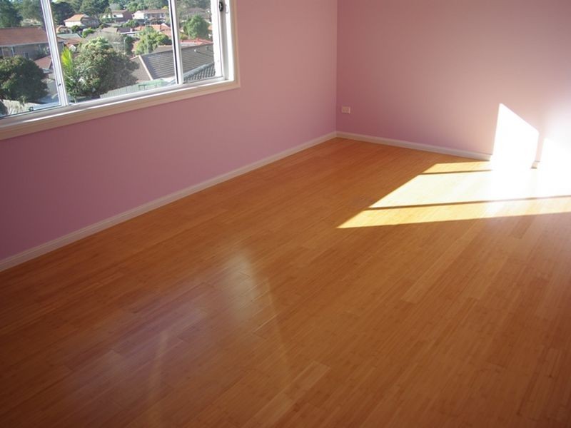 36 Douglas Road, Blacktown NSW 2148