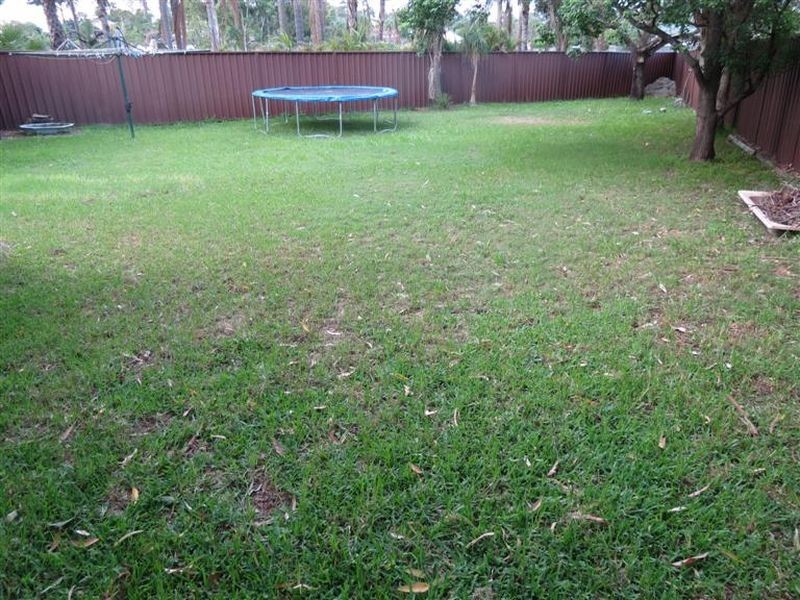 3 Daffodil Street, Marayong NSW 2148