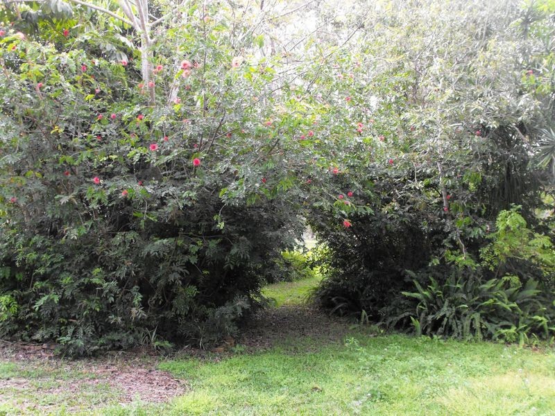 670 Bestmann Road, Ningi QLD 4511