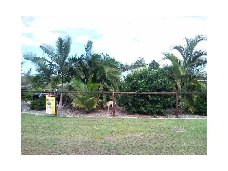 41 Wrenaus Way, Ningi QLD 4511