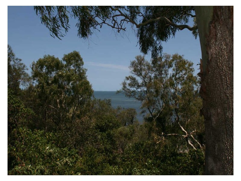 19 Ardel Place, Sandstone Point QLD 4511