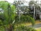 81 Ningi Esplanade, Ningi QLD 4511
