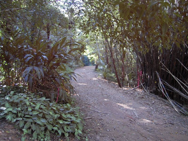 Lot 3 Intake Road, Redlynch QLD 4870