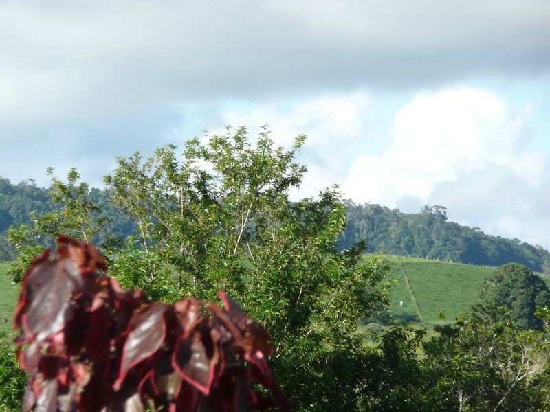 3 Jacaranda Drive, Yungaburra QLD 4884