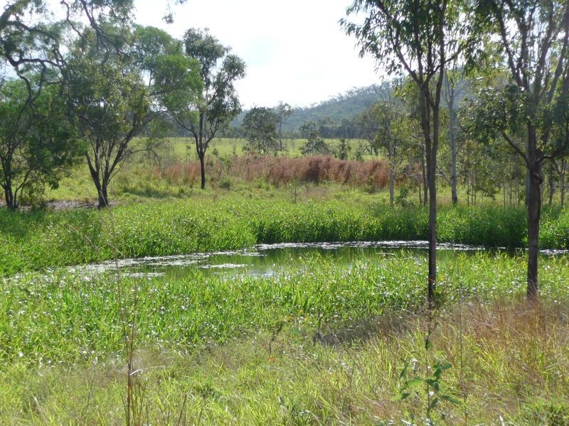 Lot 2 Fantin Road, Koah QLD 4881