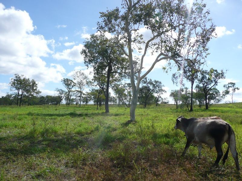 Lot 2 Fantin Road, Koah QLD 4881