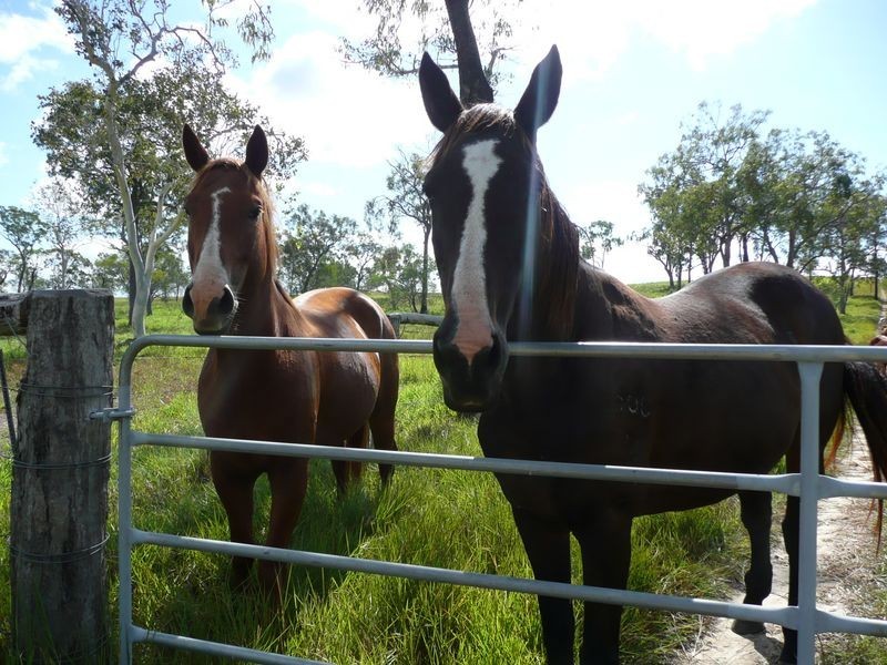 Lot 2 Fantin Road, Koah QLD 4881