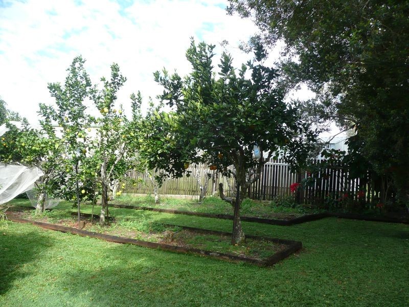 32 Currawong Avenue, Yungaburra QLD 4884