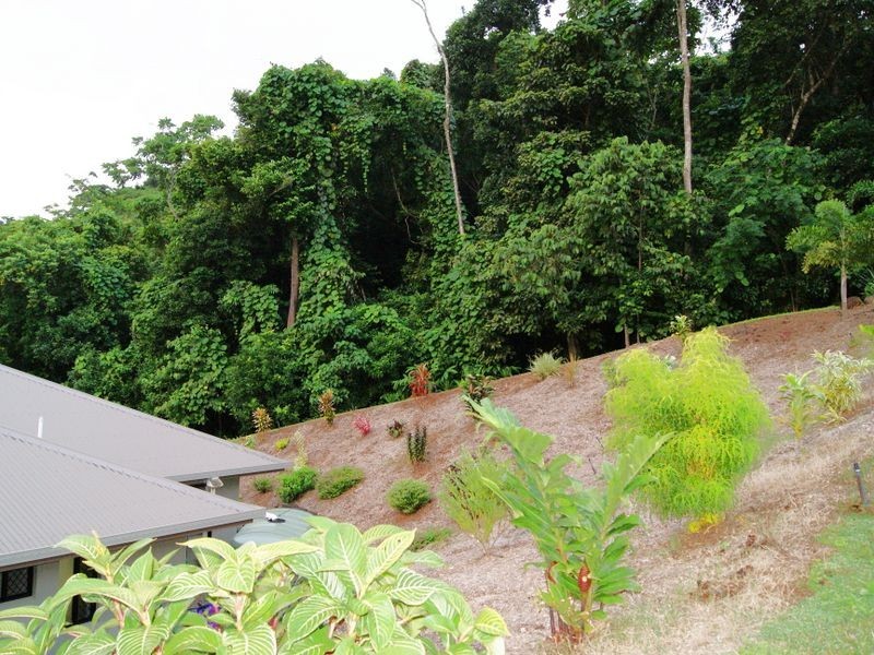 19 Lum Jim Street, Redlynch QLD 4870