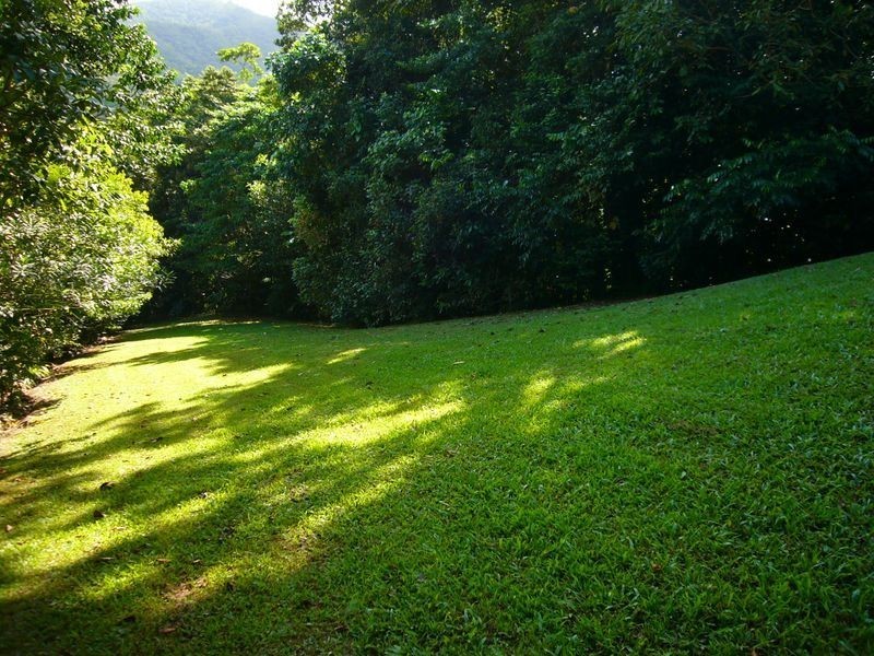 17 Frond Close, Redlynch QLD 4870