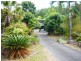 9 Mangosteen Close, Smithfield QLD 4878