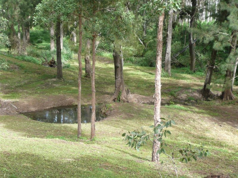 Lot 1 Reynolds Road, Wondecla QLD 4887