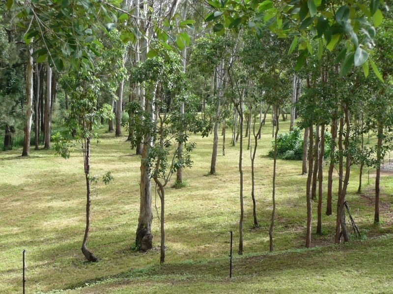 Lot 1 Reynolds Road, Wondecla QLD 4887