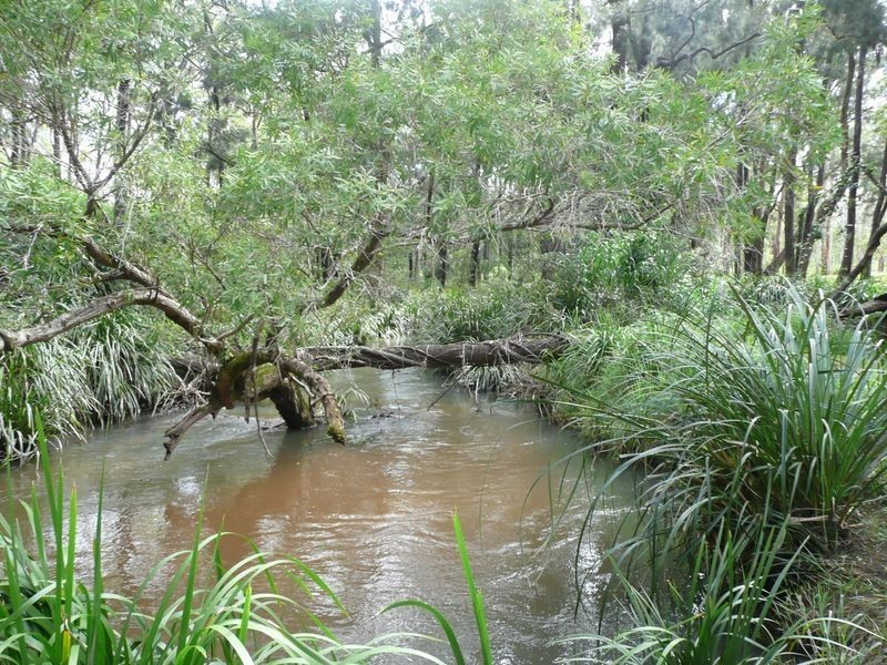 Lot 1 Reynolds Road, Wondecla QLD 4887