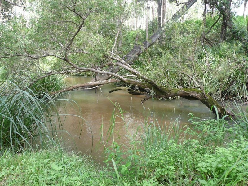 Lot 1 Reynolds Road, Wondecla QLD 4887