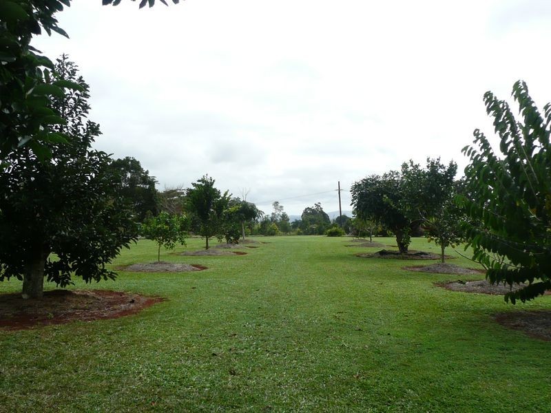 25 Russell Road West, Lake Eacham QLD 4884