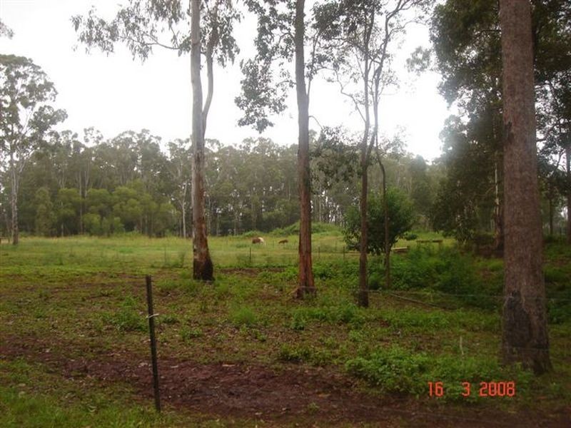 40 Bushnell Road, Wondecla QLD 4887
