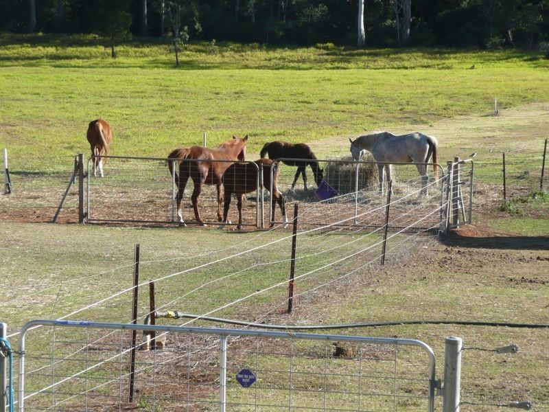 35 Harding Road, Wondecla QLD 4887